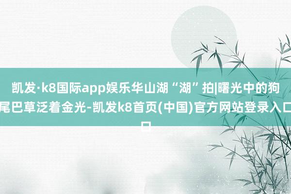 凯发·k8国际app娱乐华山湖“湖”拍|曙光中的狗尾巴草泛着金光-凯发k8首页(中国)官方网站登录入口