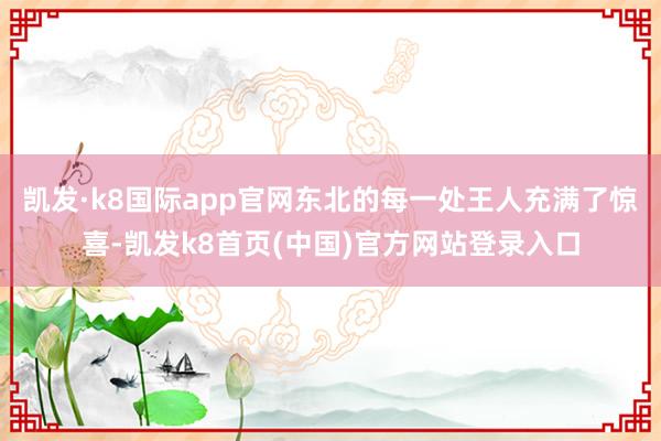 凯发·k8国际app官网东北的每一处王人充满了惊喜-凯发k8首页(中国)官方网站登录入口