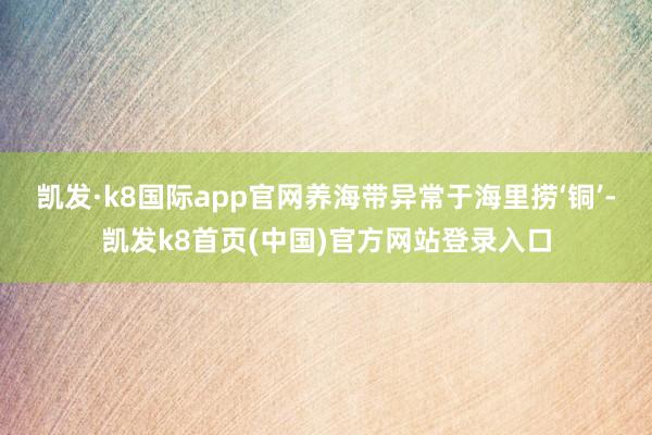 凯发·k8国际app官网养海带异常于海里捞‘铜’-凯发k8首页(中国)官方网站登录入口