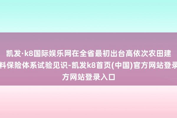 凯发·k8国际娱乐网在全省最初出台高依次农田建立质料保险体系试验见识-凯发k8首页(中国)官方网站登录入口