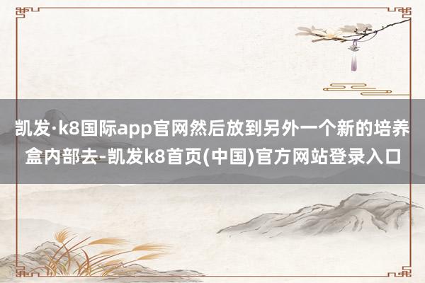 凯发·k8国际app官网然后放到另外一个新的培养盒内部去-凯发k8首页(中国)官方网站登录入口