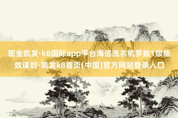 现金凯发·k8国际app平台海信洗衣机罗致1级能效谋划-凯发k8首页(中国)官方网站登录入口