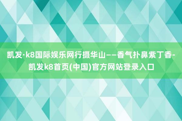 凯发·k8国际娱乐网行摄华山——香气扑鼻紫丁香-凯发k8首页(中国)官方网站登录入口