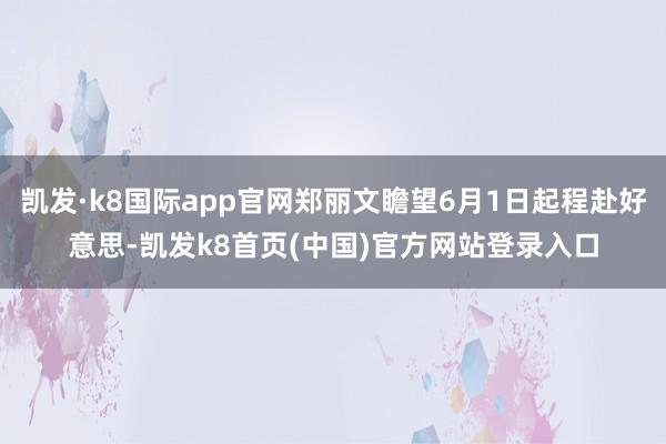凯发·k8国际app官网郑丽文瞻望6月1日起程赴好意思-凯发k8首页(中国)官方网站登录入口