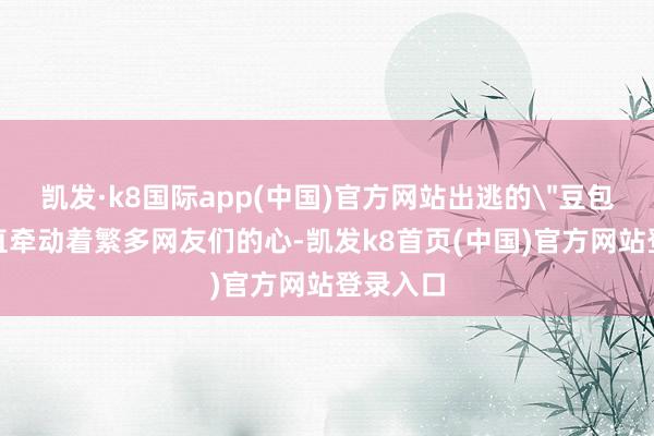 凯发·k8国际app(中国)官方网站出逃的