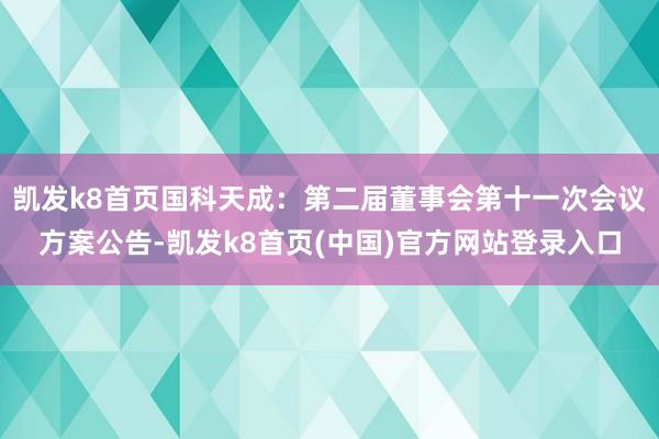 凯发k8首页国科天成：第二届董事会第十一次会议方案公告-凯发k8首页(中国)官方网站登录入口